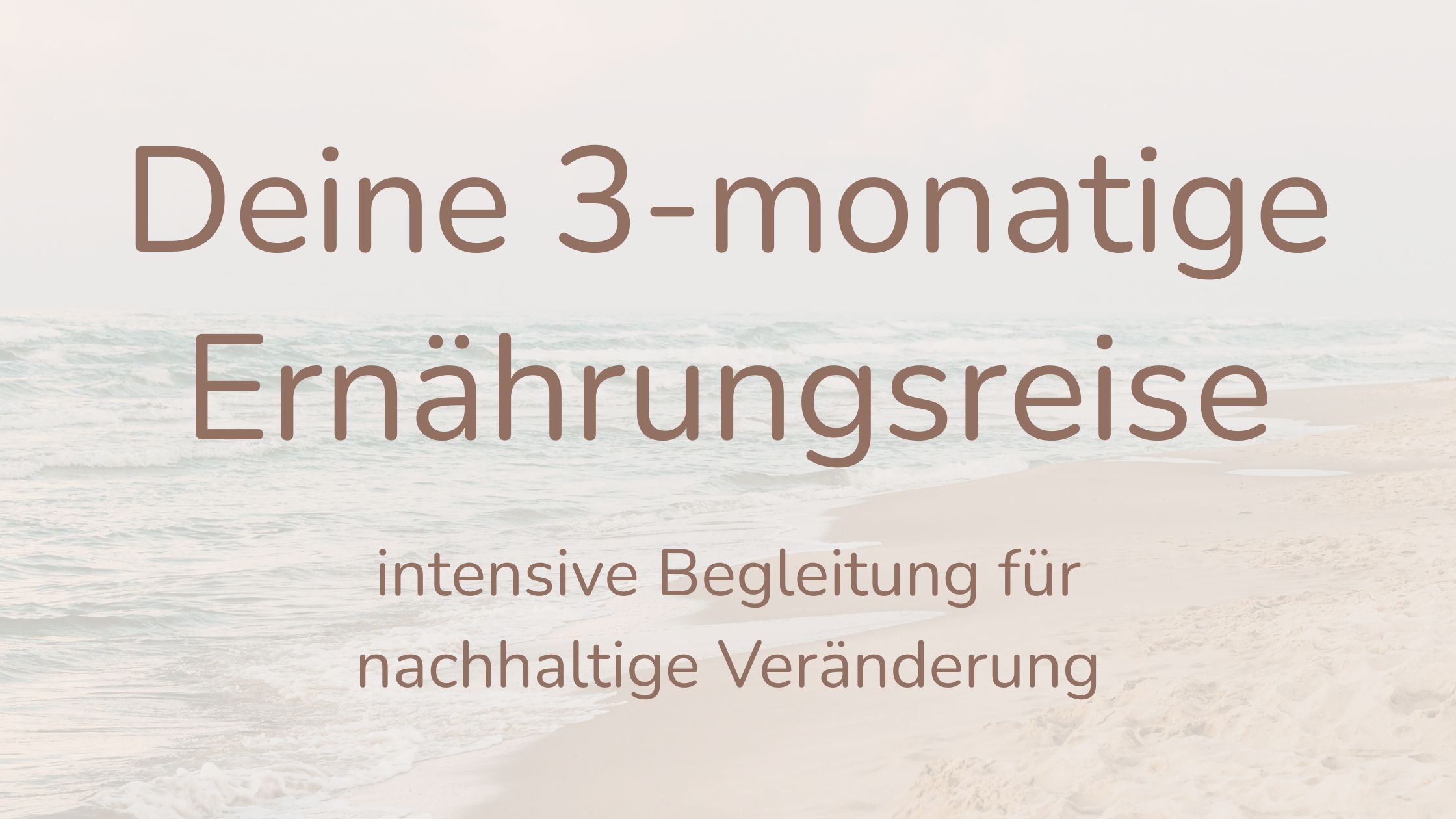 3 Monate Begleitung