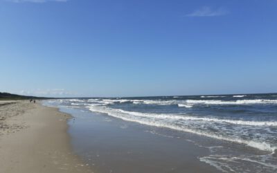 Der Sommer – Das Feuerelement